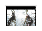 JK Electric HD Tab Screen, 106", 16:10 Aspect Ratio, Matt White Fabric - E10106HDT